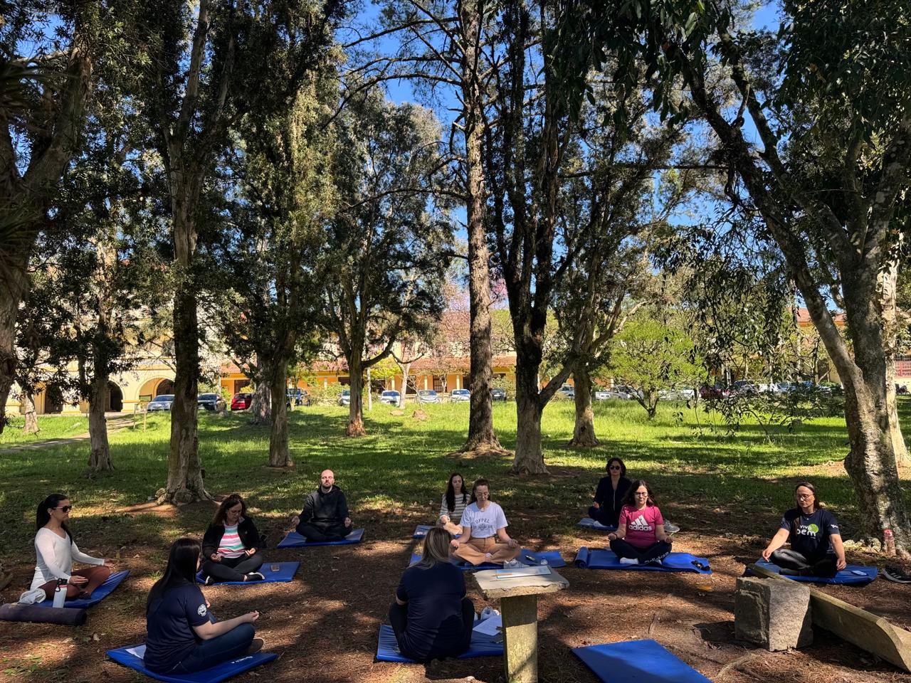 Mês da Pessoa Servidora: programação especial destaca bem-estar e liderança feminina
